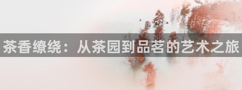 安信证券手机壳12