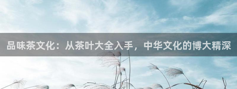 安信12平台怎么样