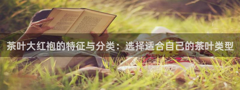 安信12官方下载