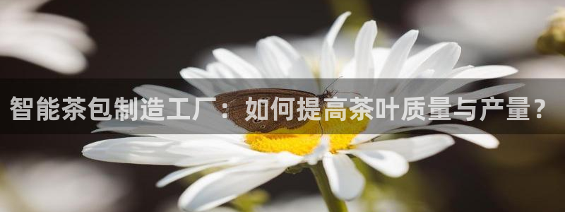 信安12乐打棒