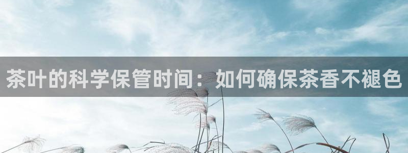 安信12娱乐代理