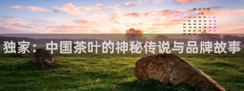 安信12娱乐开户