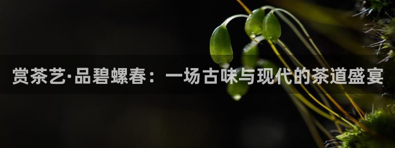 安信安翼 12账号