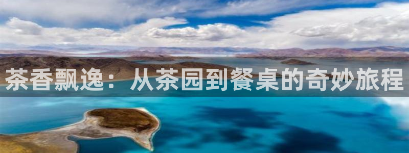 安信12娱乐招商探索空间